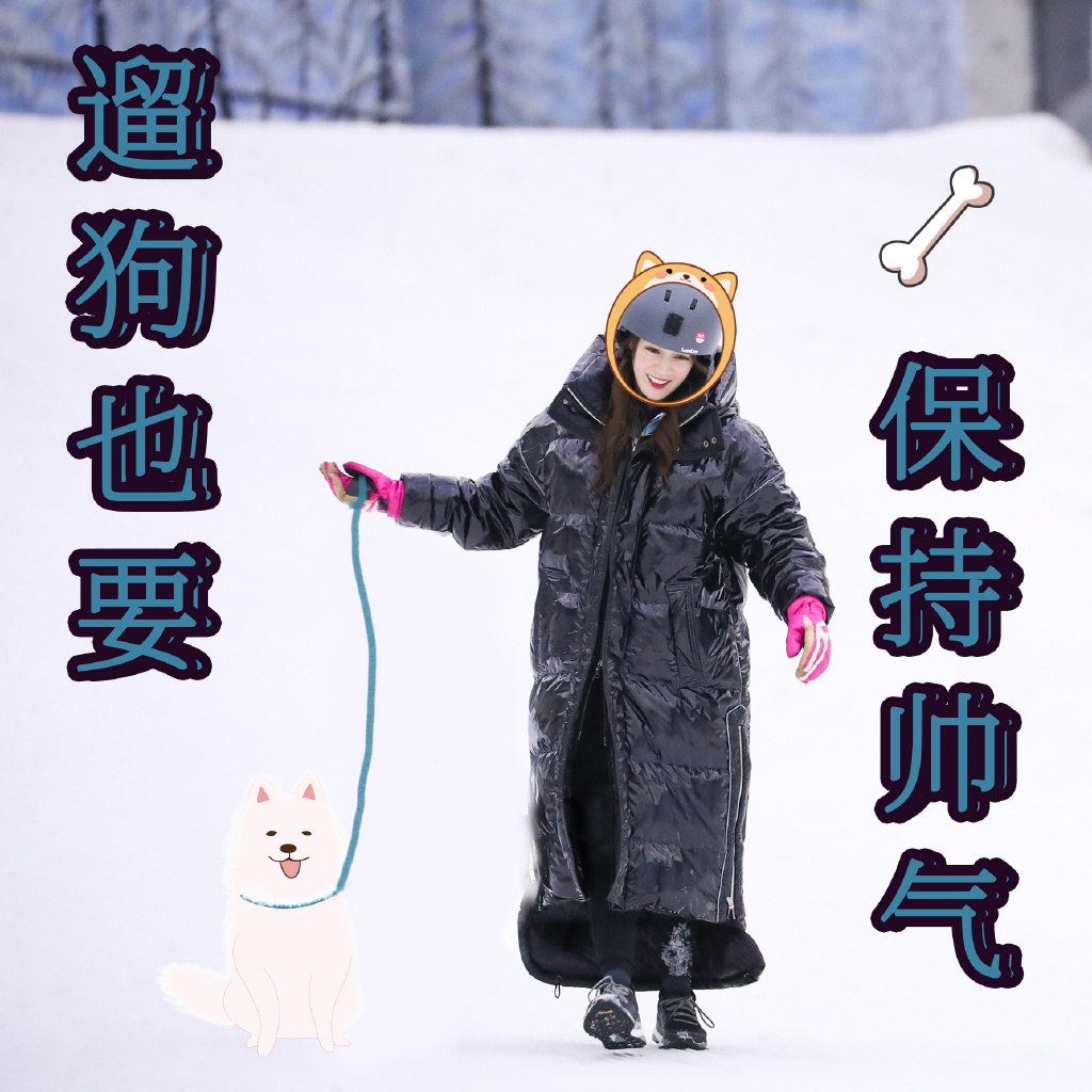 孙艺宁《双世宠妃2》可爱表情包图片图片