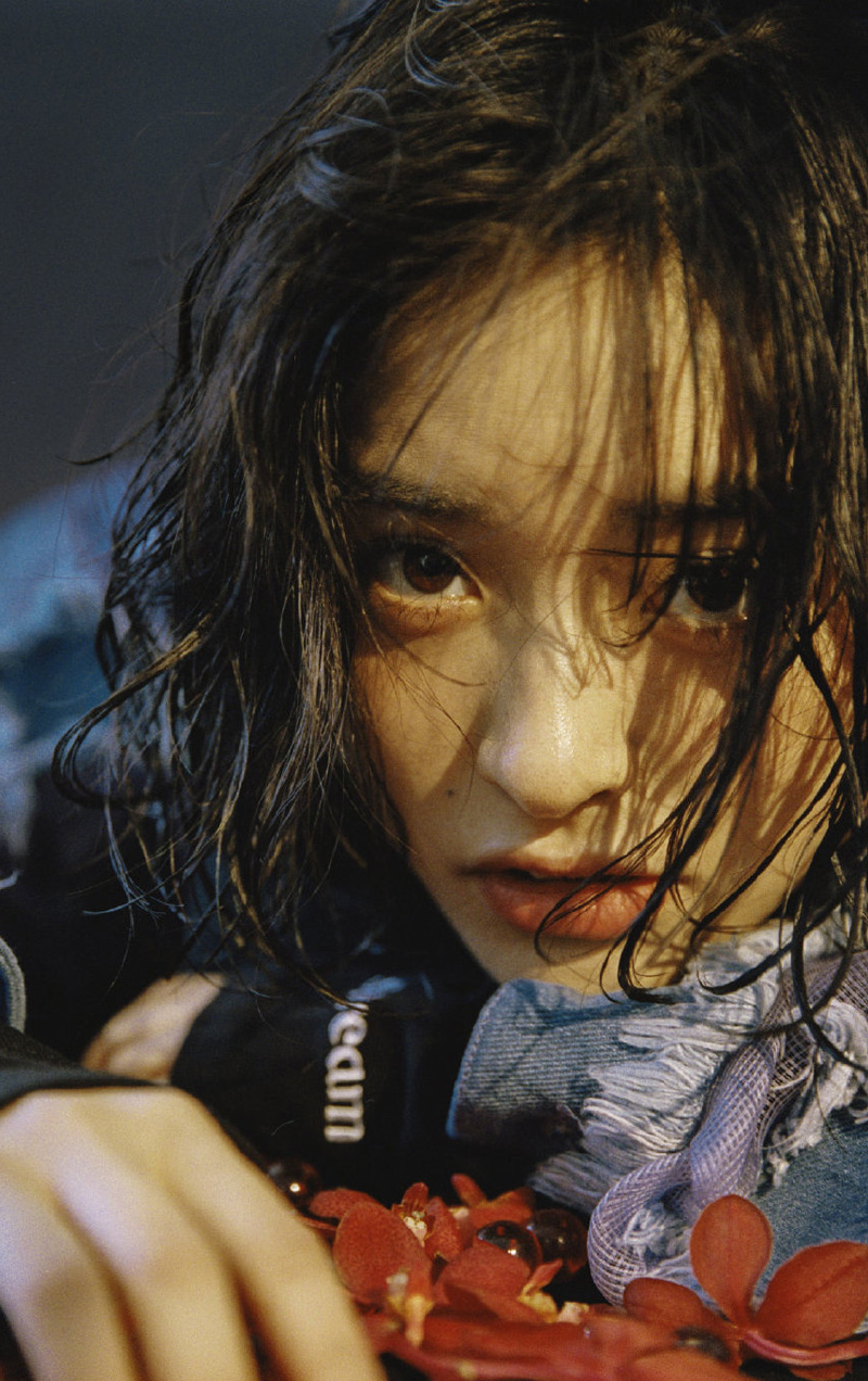 杨子姗清新淡雅活动写真图片图片