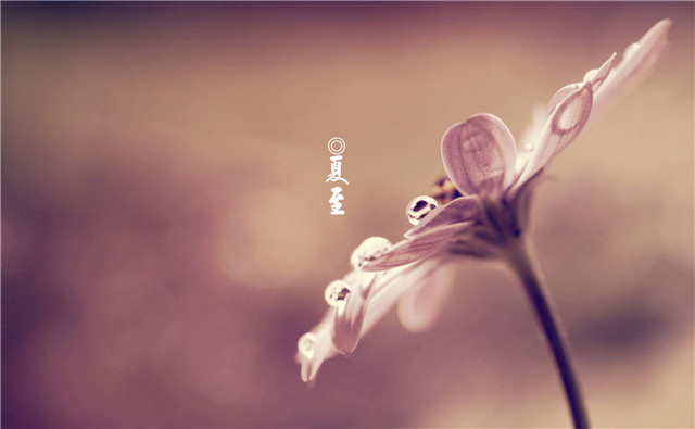 浪漫白色情人节高清节日素材图片图片