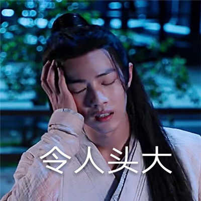 陈情令肖战魏无羡表情包图片图片