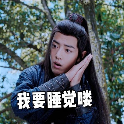 陈情令肖战魏无羡表情包图片图片