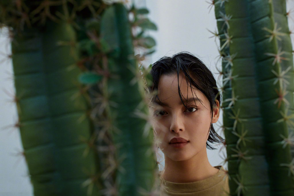 辛芷蕾图片