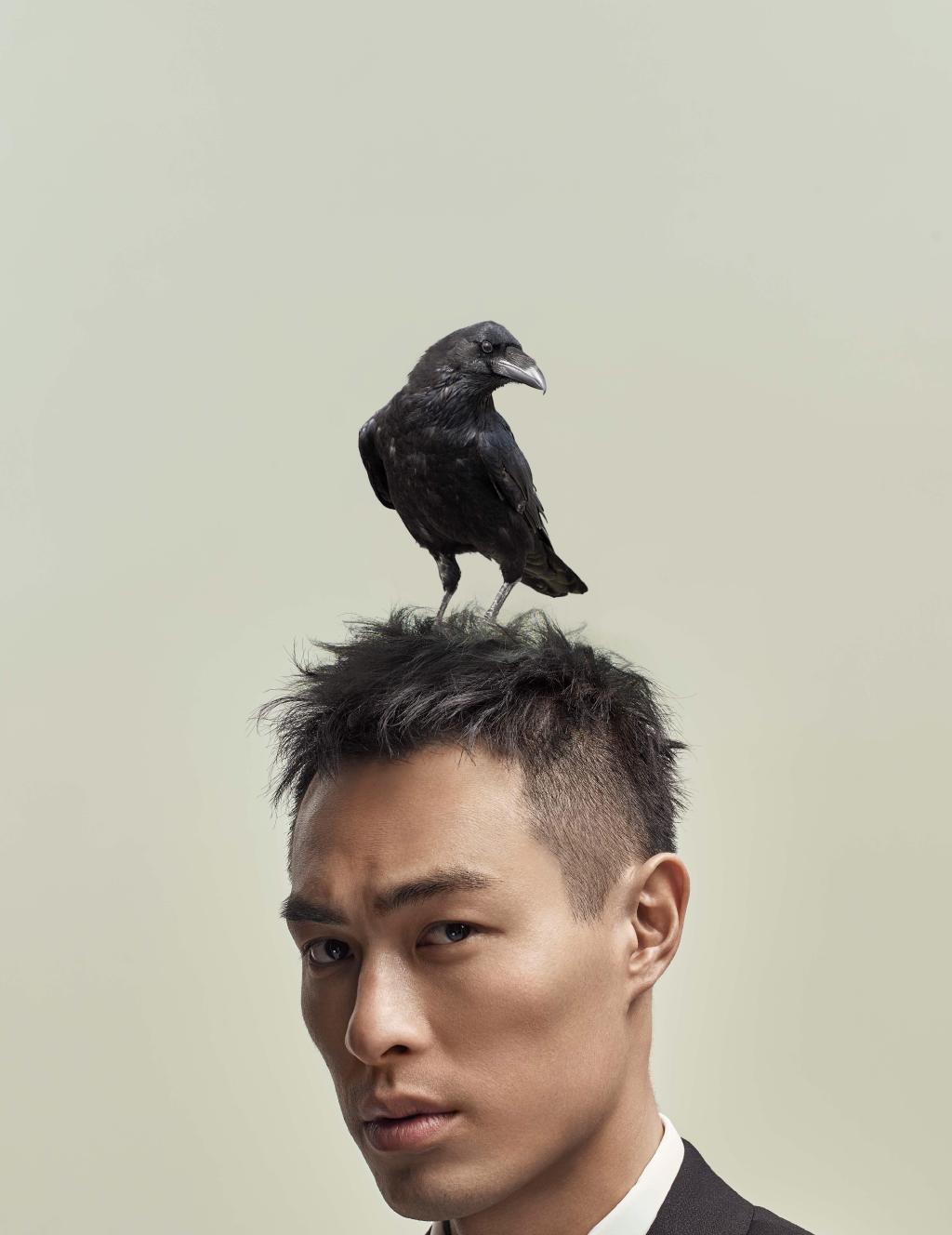杨祐宁图片