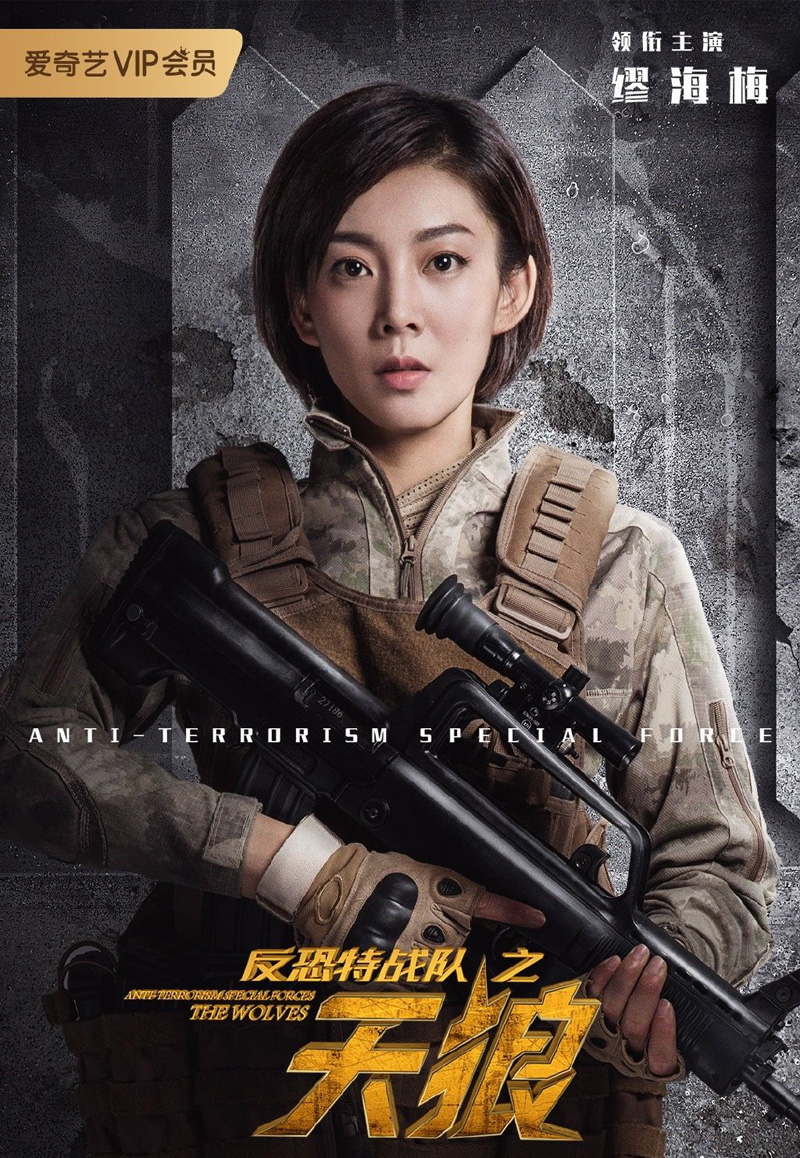 王智《我爱灰太狼2》海报剧照图片图片