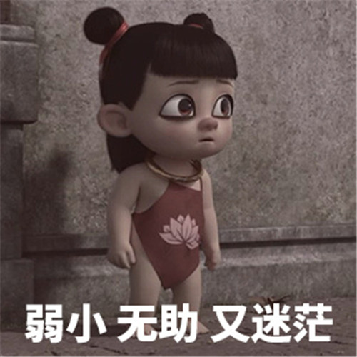 可爱猫咪带字表情包图片图片