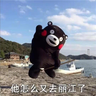 金馆长等快递的心情带字表情图片图片