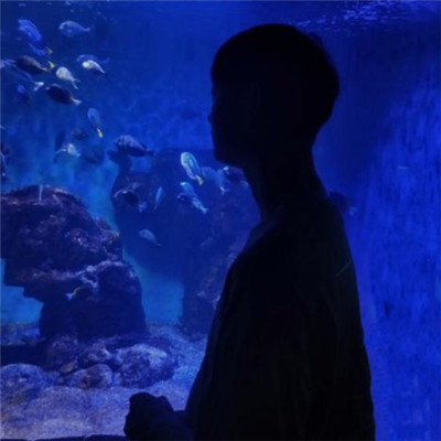 杨祐宁唯美意境写真图片图片