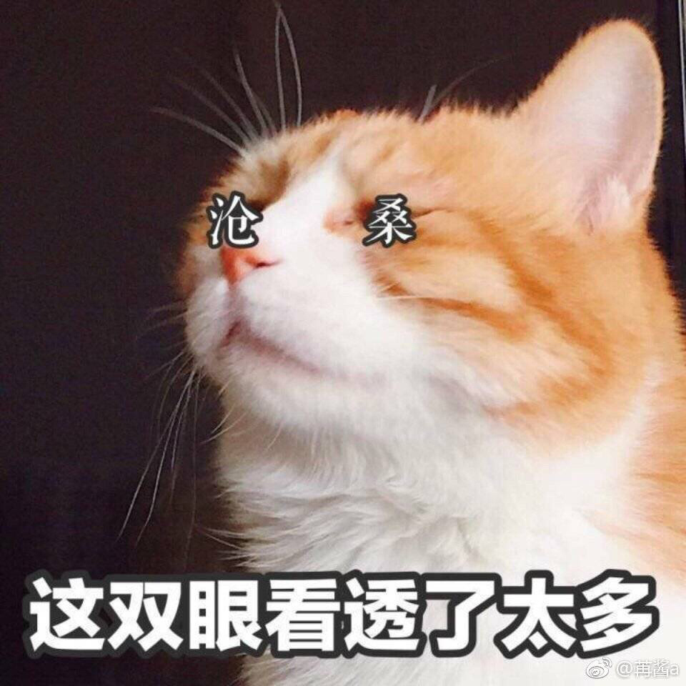 伤感文字语录图片 唯美爱情高清心情文字图片精选图片