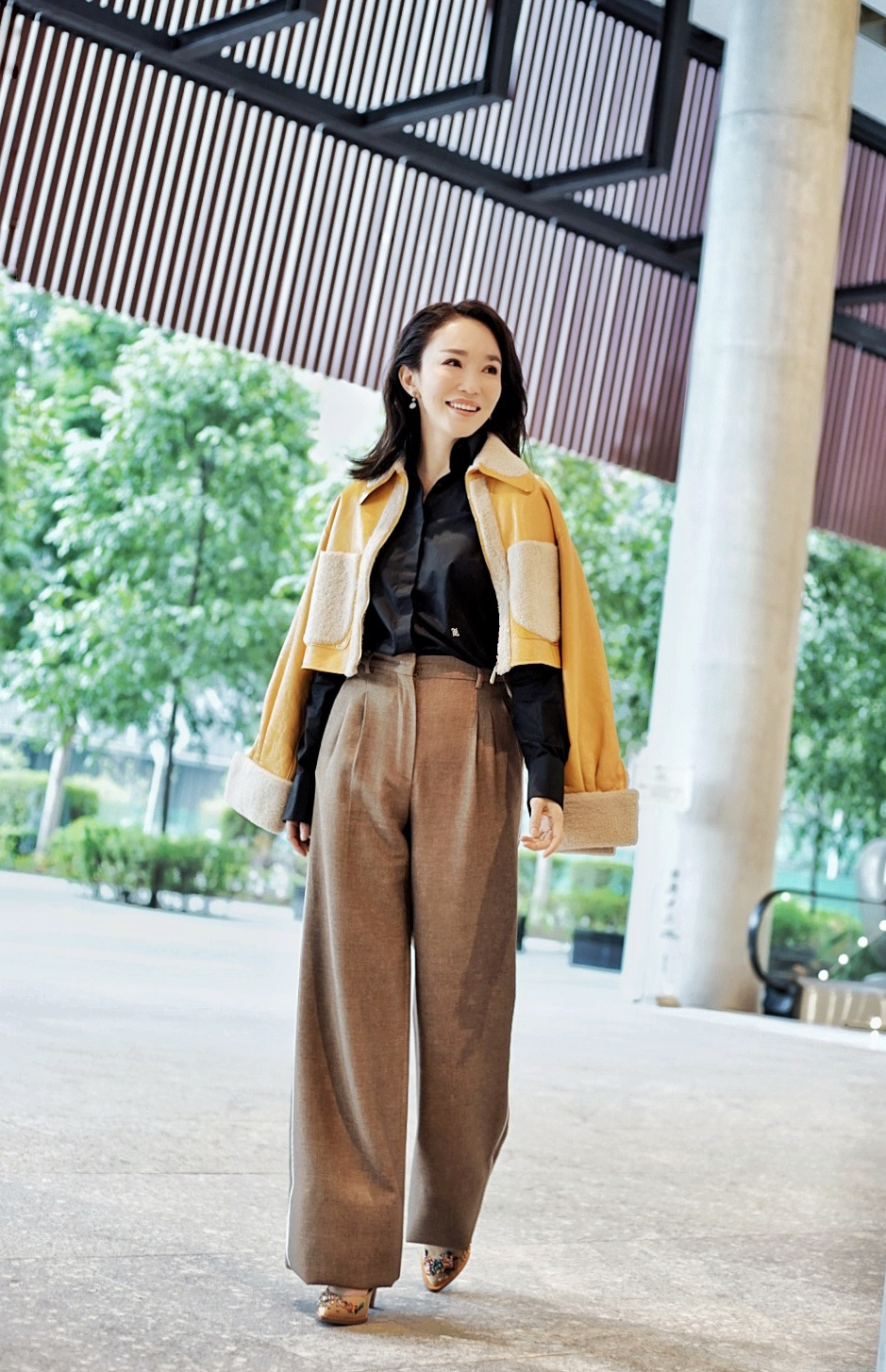 高清新加坡女艺人美女著名演员范文芳性感图片图片