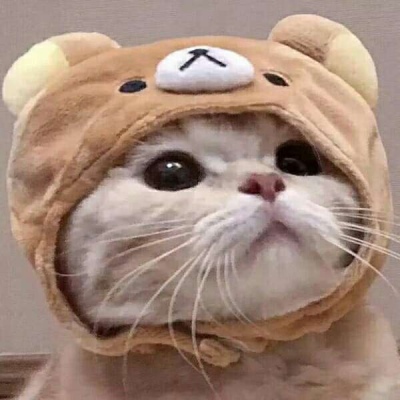 无水印动漫情侣头像图片图片