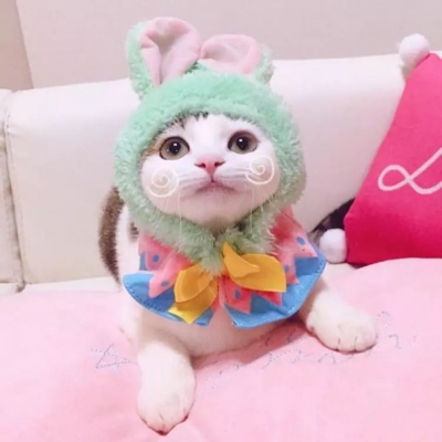 90后性感小猫咪写真图片