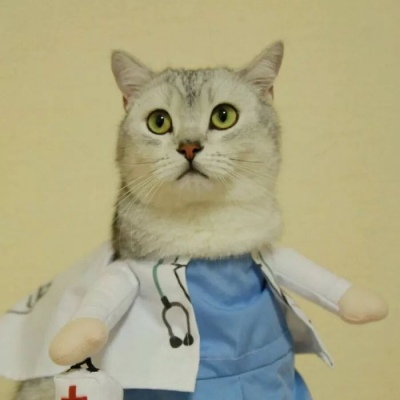 90后性感小猫咪写真图片