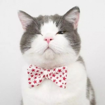 90后性感小猫咪写真图片