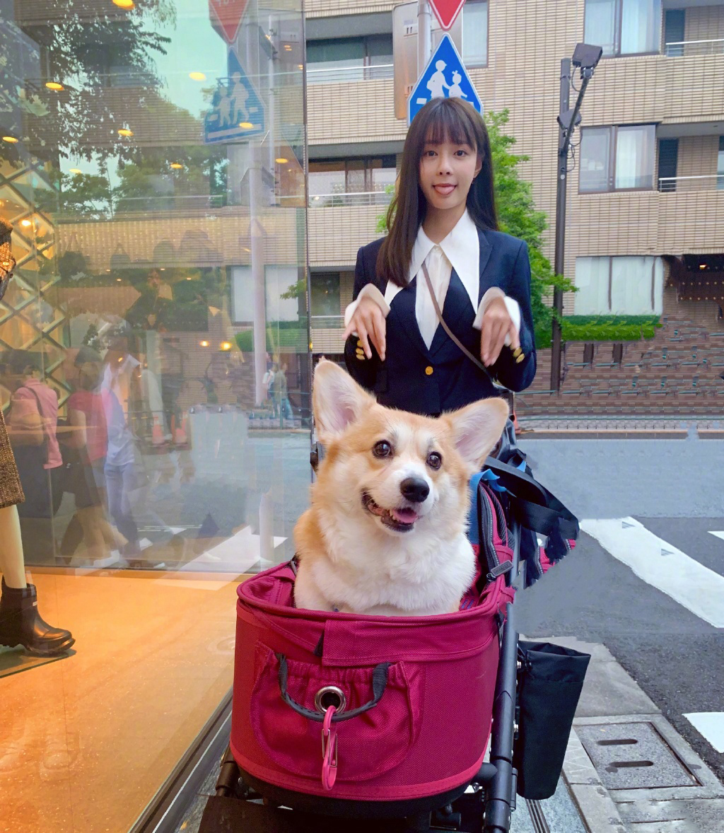 高清湖南省湘西吉首市美女沈梦辰抹胸性感唯美写真图片图片