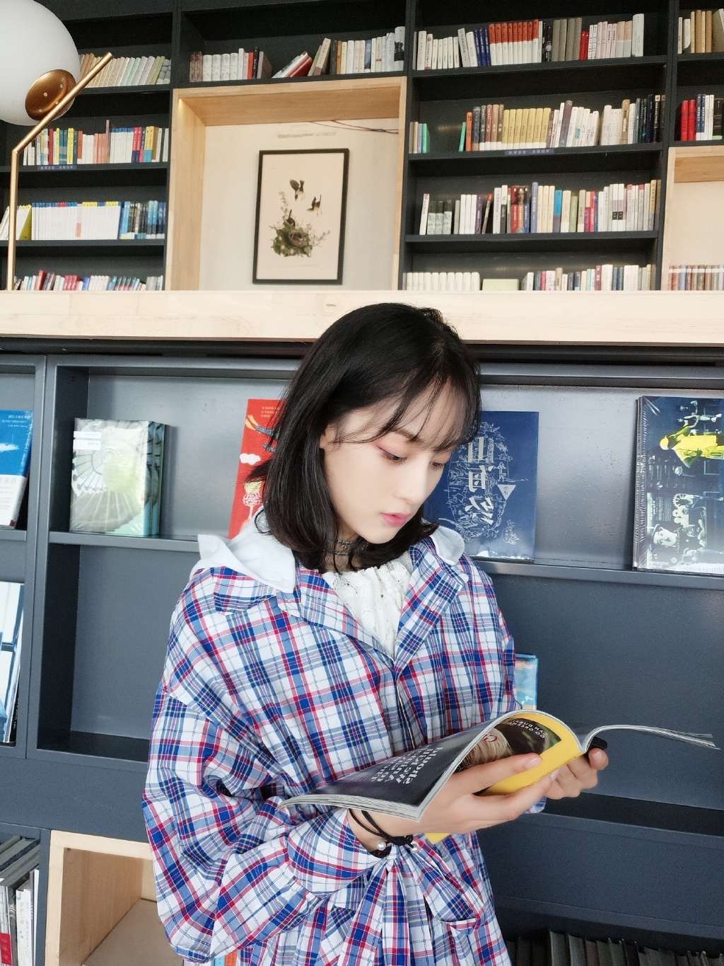 赵圆瑗图片