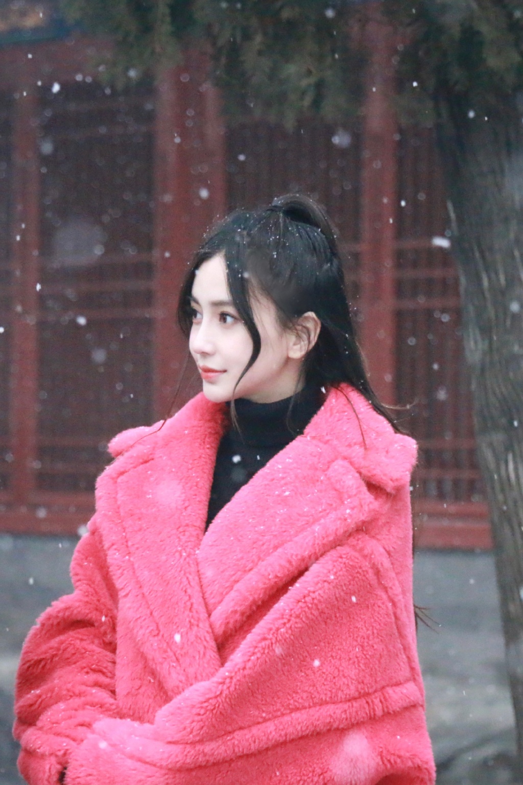 主持人章艳图片 中央电视台主持人章艳图片图片