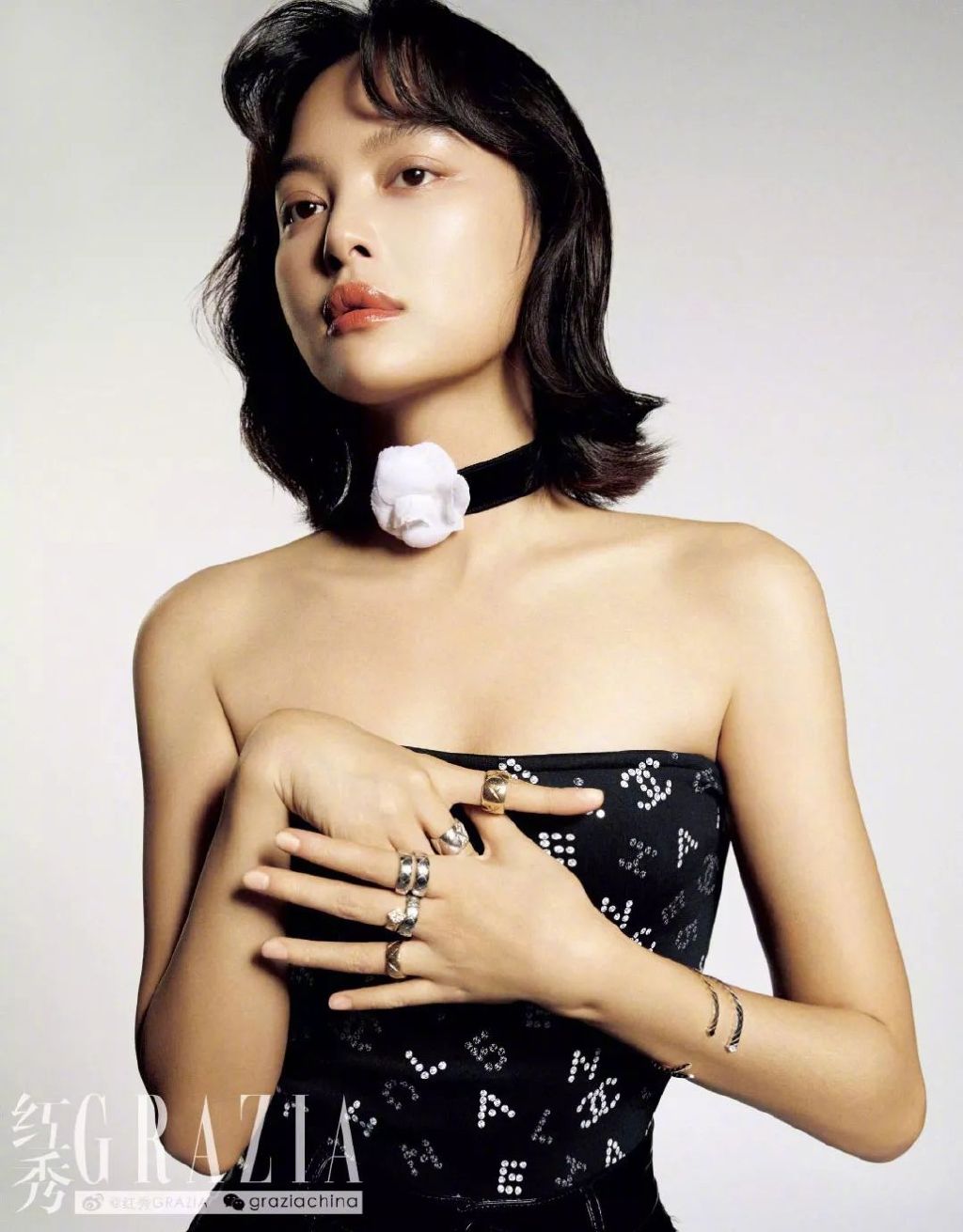 辛芷蕾图片