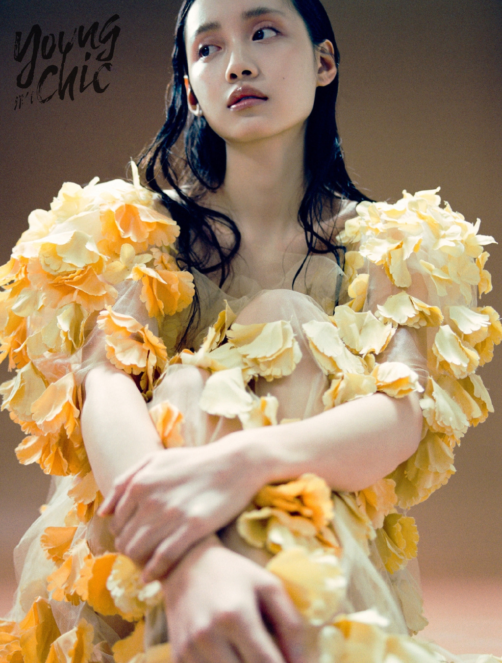高清女星孙伊涵时尚典雅写真图片图片