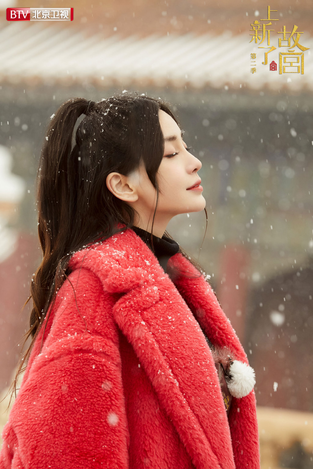 韩丹彤唯美气质雪景照图片图片