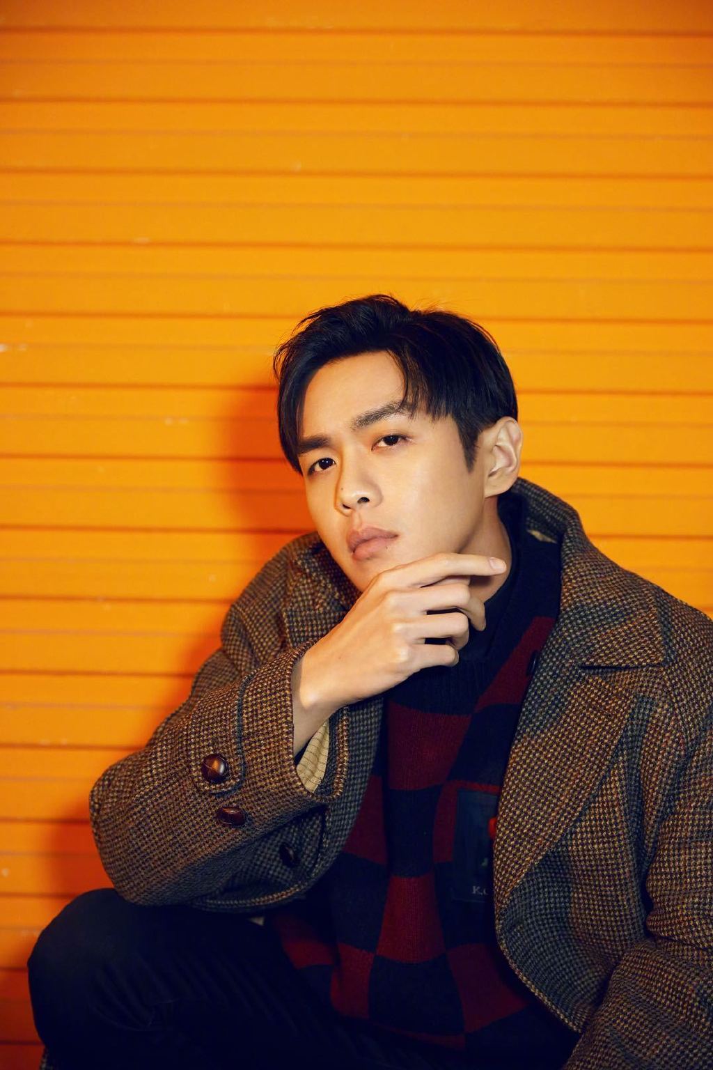 张若昀图片