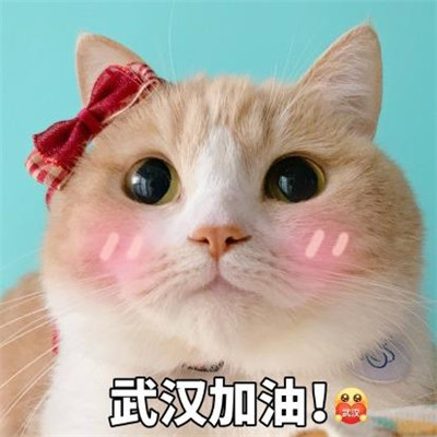 陈紫函家居写真 陈紫函怀抱萌宠爱心图片图片