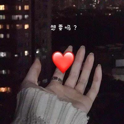 可爱猫咪带字表情包图片图片