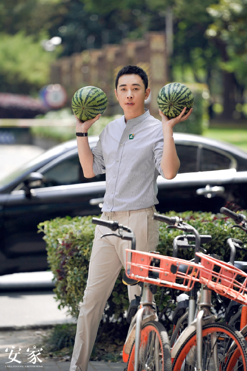 罗晋魅力型男冬日户外写真图片图片