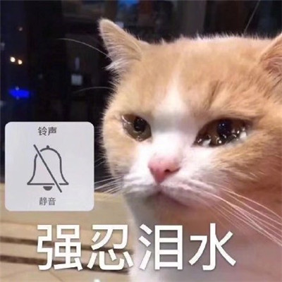 不再快乐了悲伤表情包图片图片