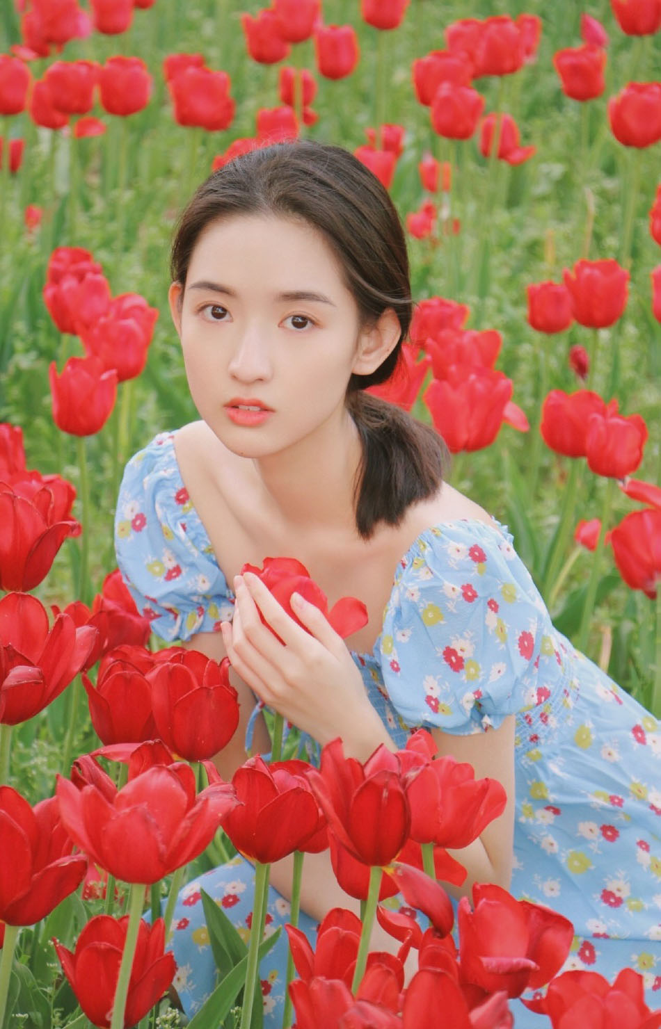 王玉雯优雅唯美写真图片图片