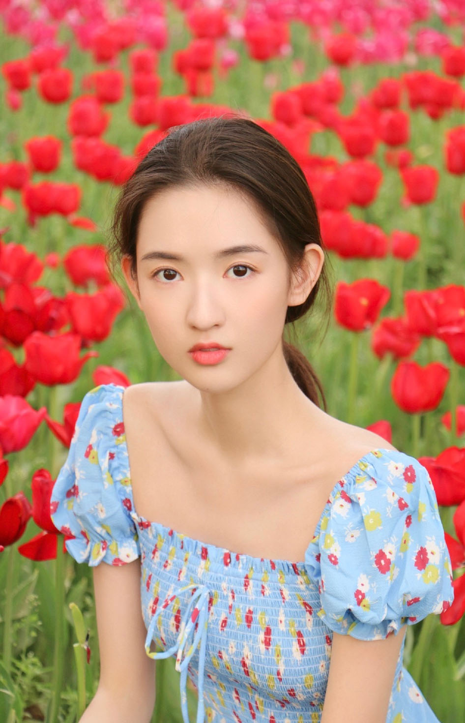 王玉雯优雅唯美写真图片图片