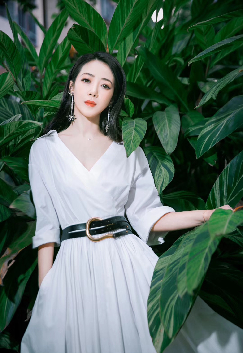 陈紫函图片