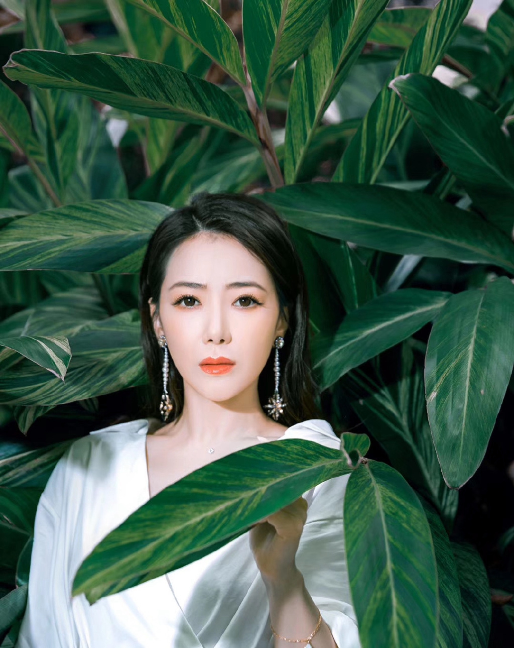 陈紫函图片