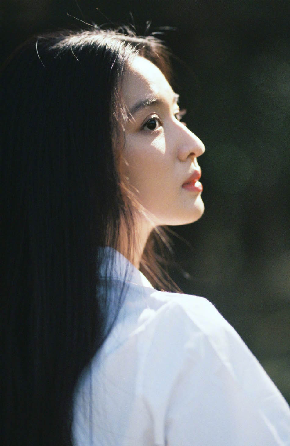 王楚然优雅迷人美艳写真图片图片