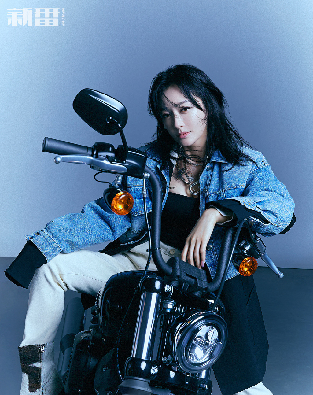 高清中国内地辽宁省沈阳女演员秦岚优雅自信性感写真图片