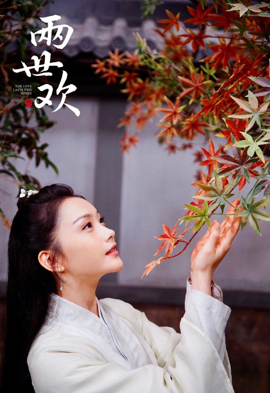 王嵛图片