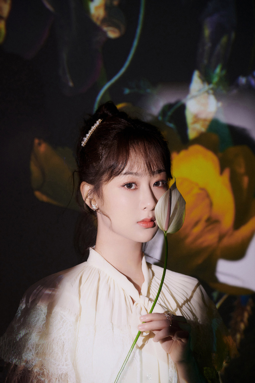 高清中国内地影视北京女演员杨紫微博之夜性感优雅写真图片图片