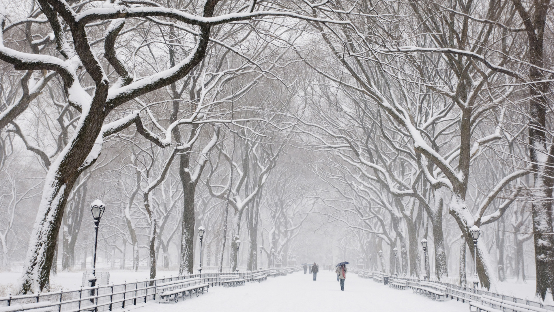 风景白雪图片