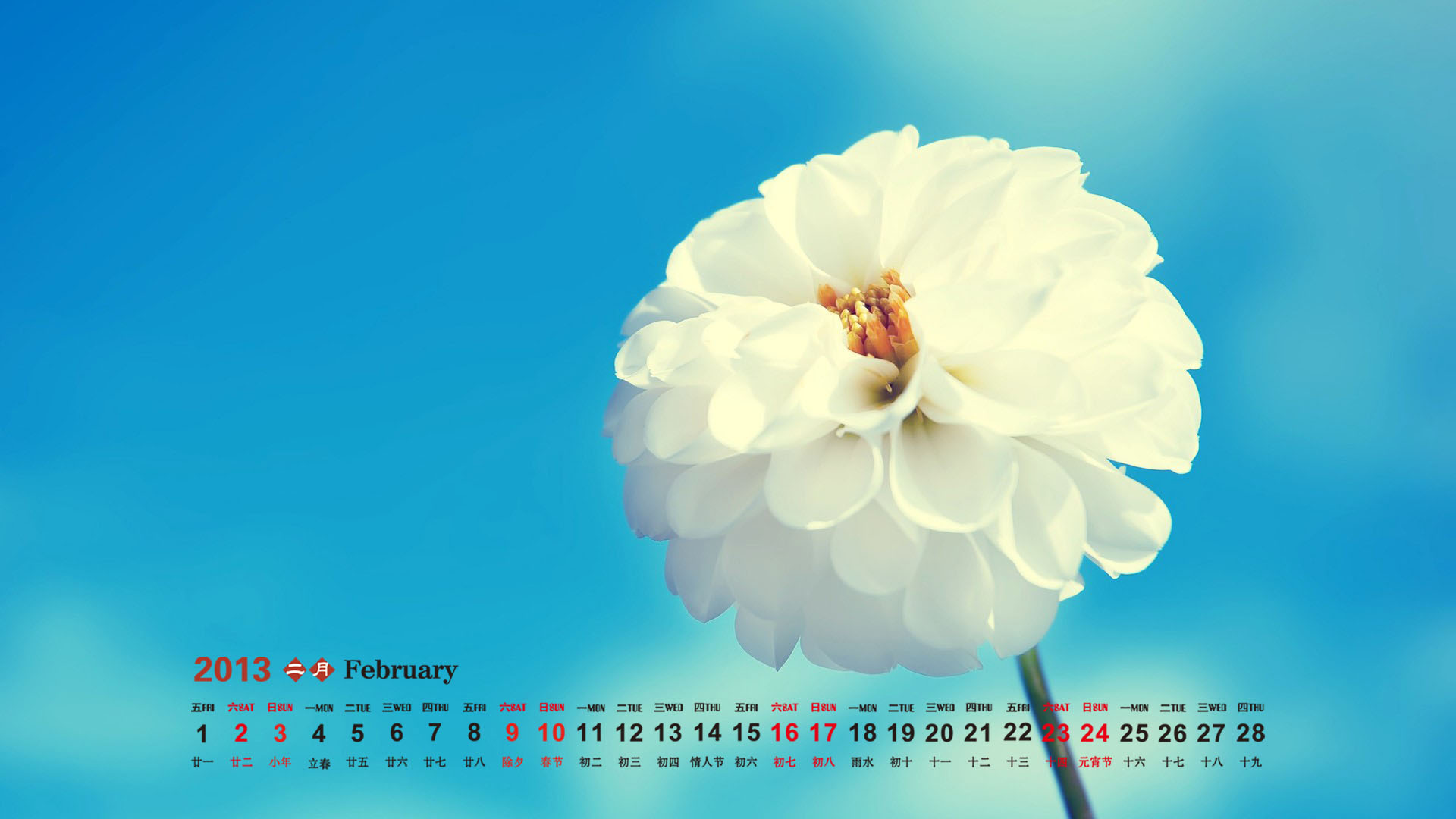 2013年2月日历壁纸之安静的蓝色海滩图片
