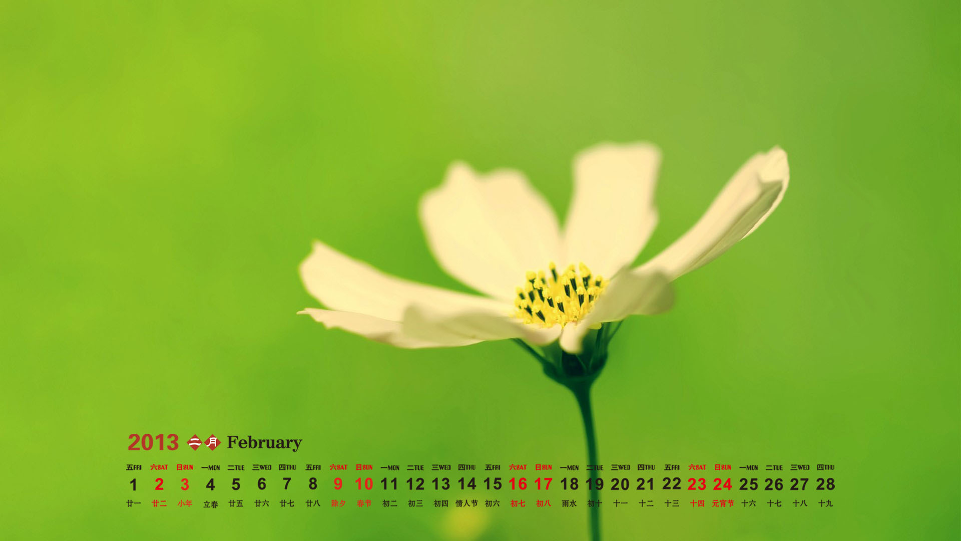 2013年2月日历壁纸之安静的蓝色海滩图片