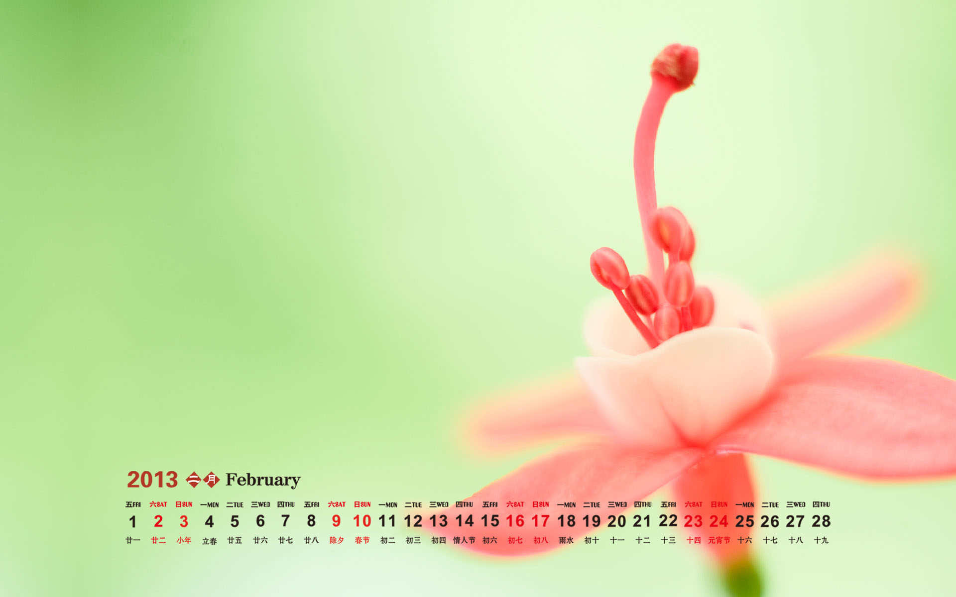 2013年2月日历壁纸之安静的蓝色海滩图片
