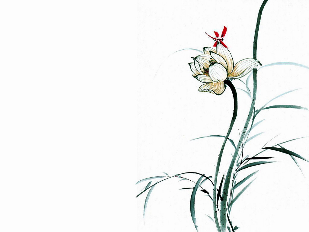 植物水彩艺术插画手机壁纸图片