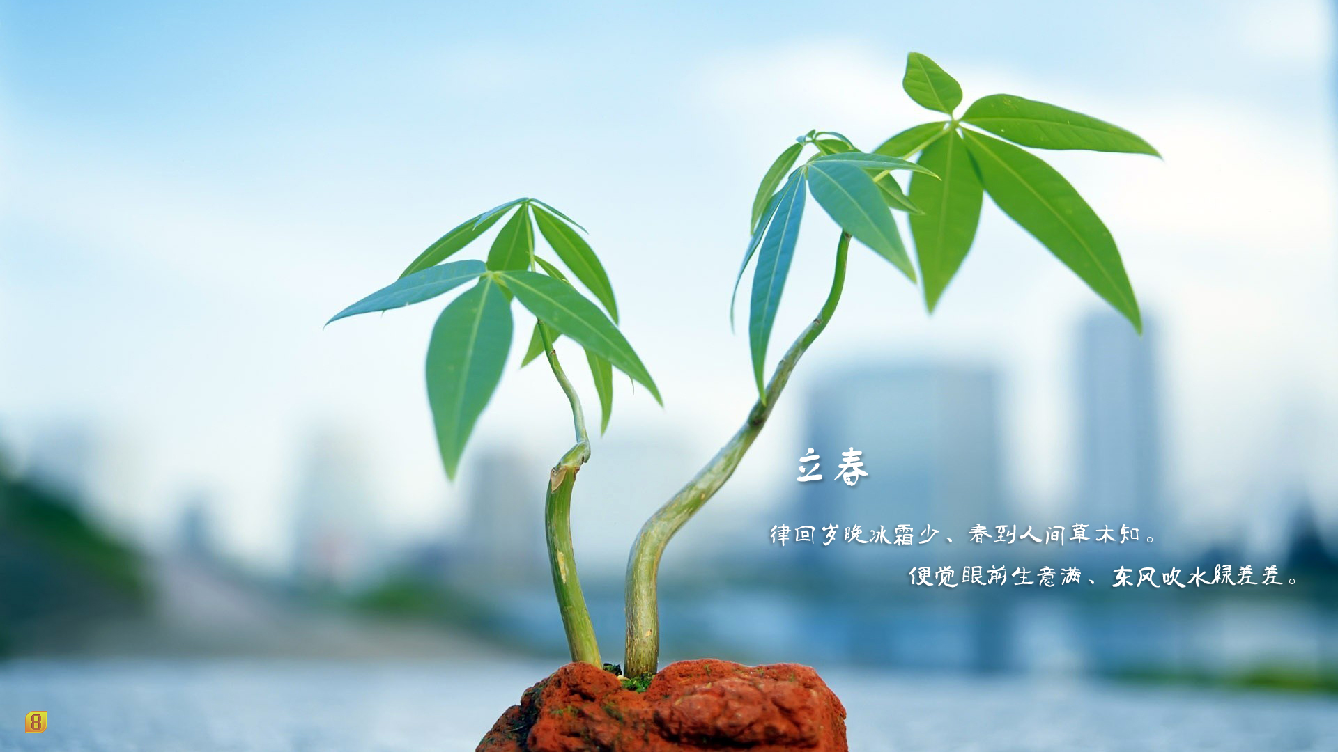 春天图片