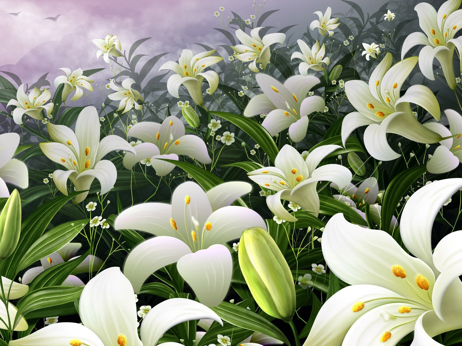 百合花图片