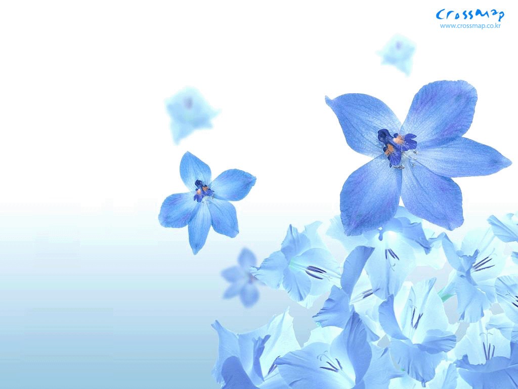 2013年3月电脑壁纸之唯美风景图片