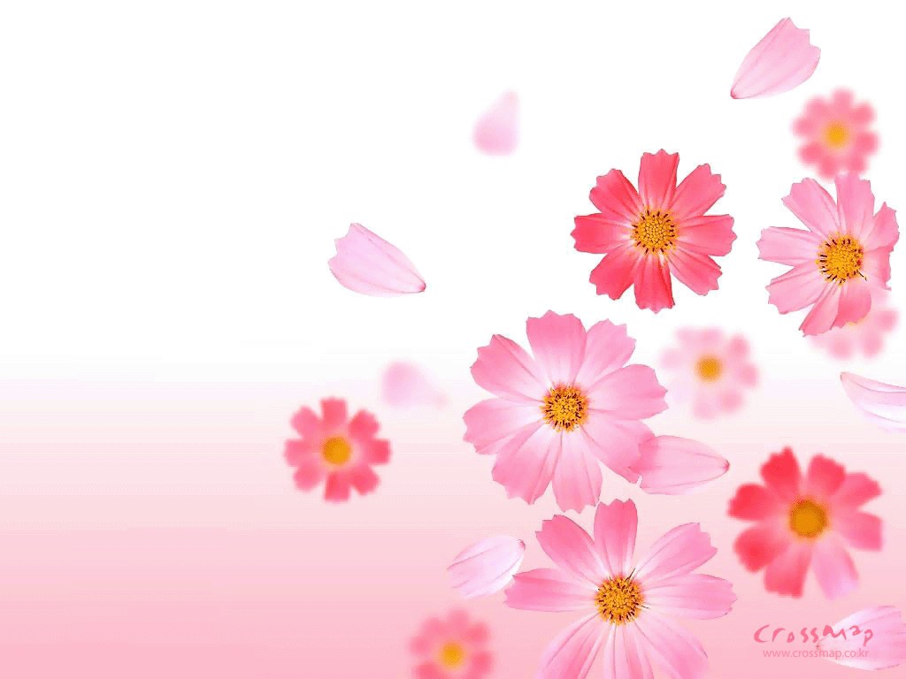 2013年3月电脑壁纸之唯美风景图片