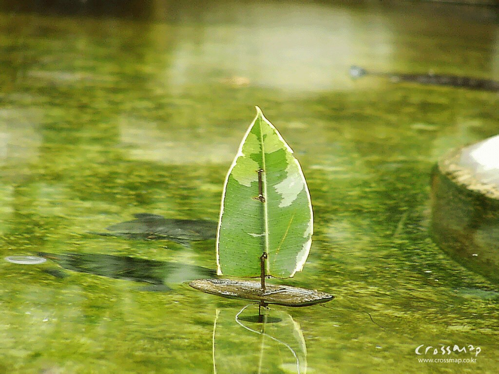 2013年5月风景日历高清壁纸图片