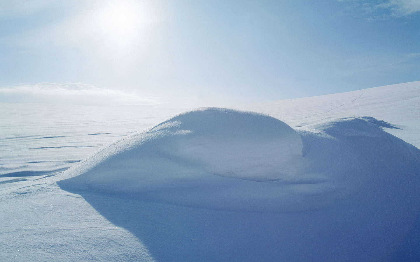 冬天树木森林白雪自然风景精选桌面壁纸图片下载图片