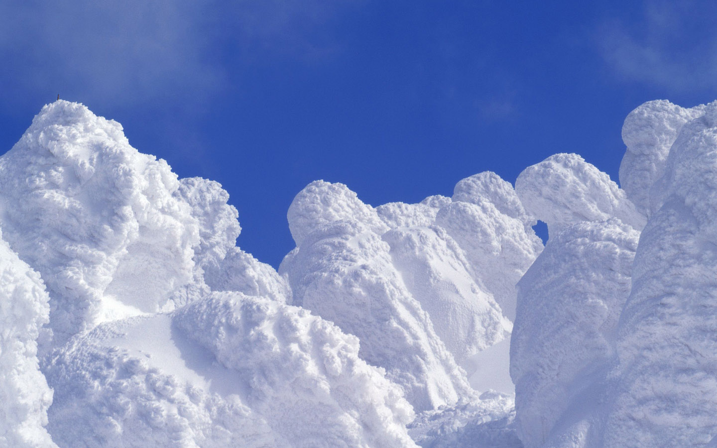 风景白雪图片