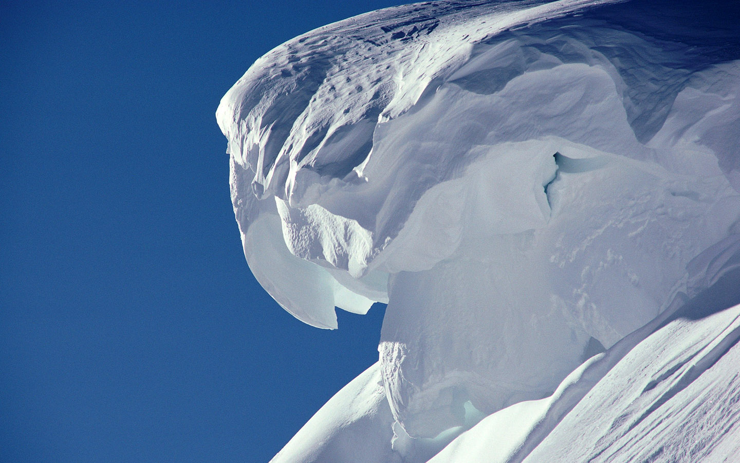 唯美纯白雪景图片手机壁纸图片