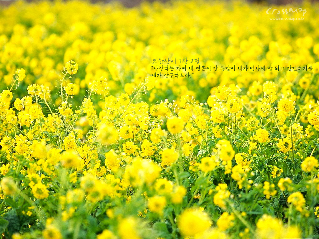 2013年3月日历壁纸之美丽的国外风景图片